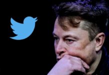 Elon Musk Claims Twitter's Ad Revenue Is Down By 50