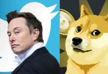 Elon Musk Replaced Twitter's Bird Logo to 'Shiba Inu Dog'