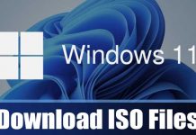 Download Official Windows 11 ISO Files